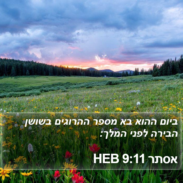 אסתר 9:11 HEB Bible Study