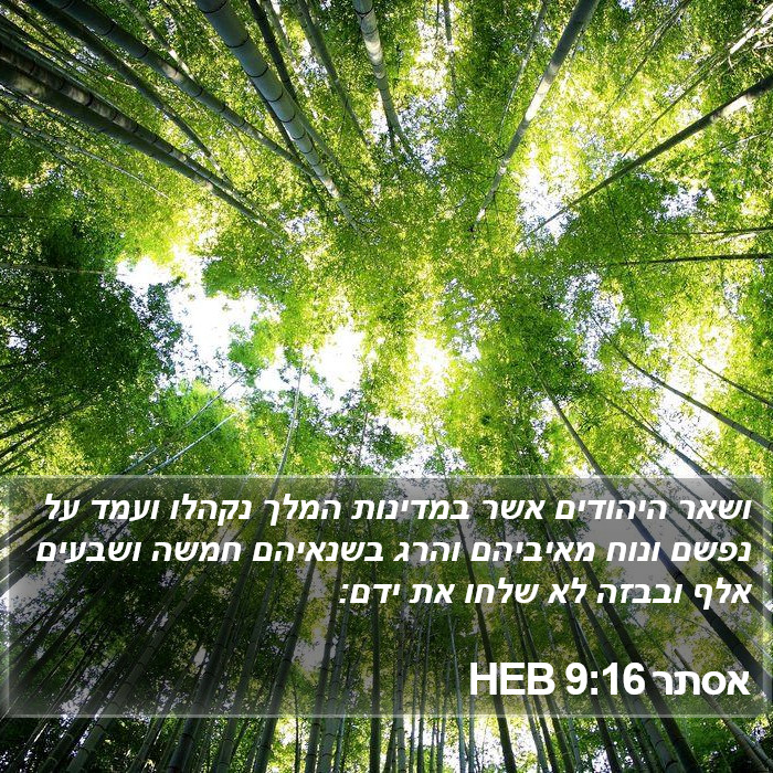 אסתר 9:16 HEB Bible Study