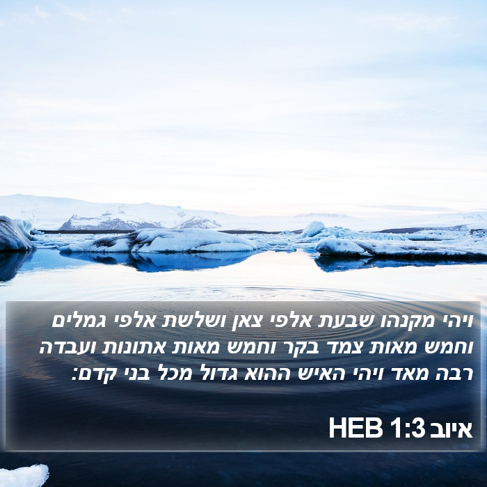 איוב 1:3 HEB Bible Study