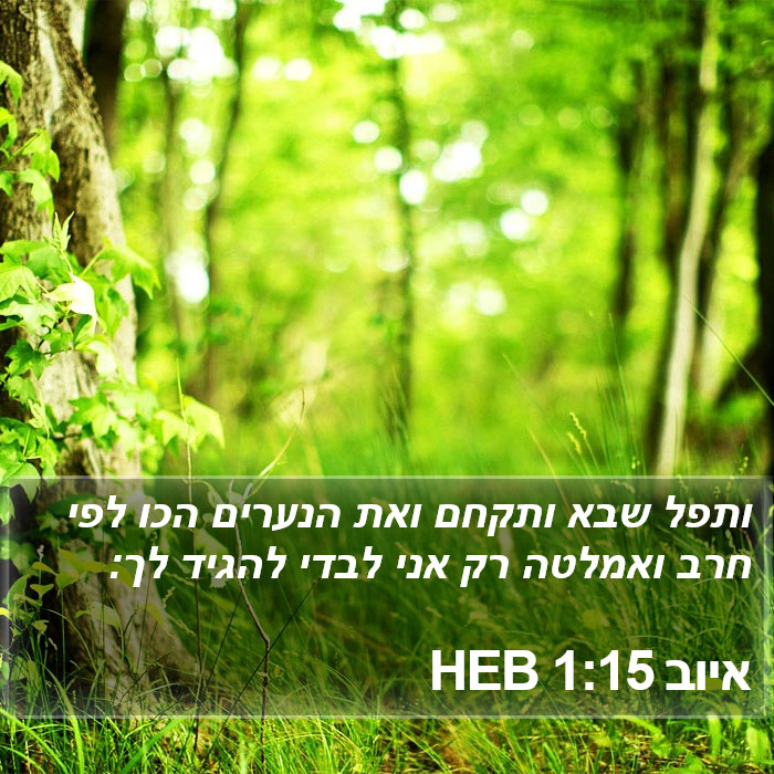 איוב 1:15 HEB Bible Study