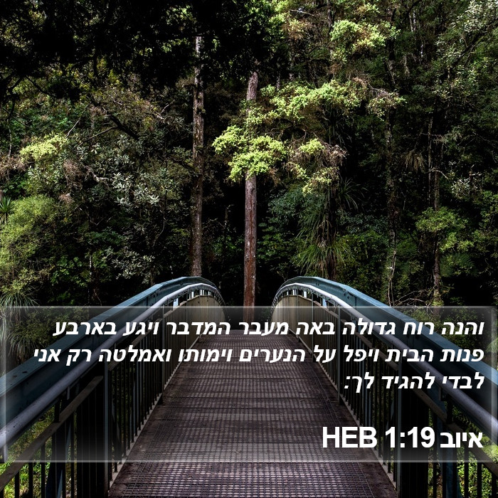 איוב 1:19 HEB Bible Study