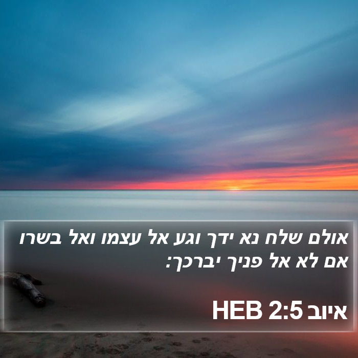 איוב 2:5 HEB Bible Study