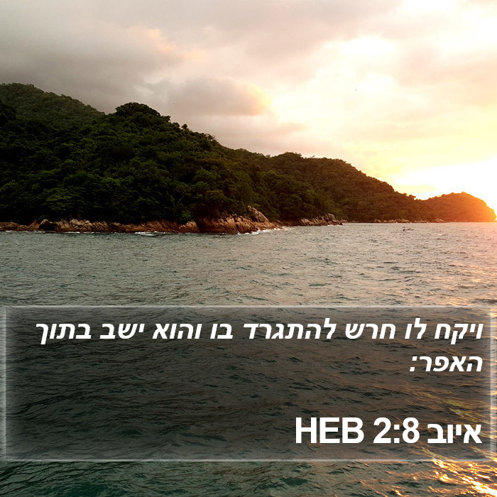 איוב 2:8 HEB Bible Study