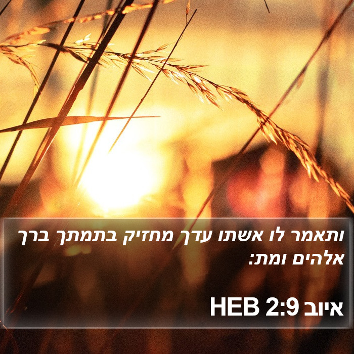 איוב 2:9 HEB Bible Study