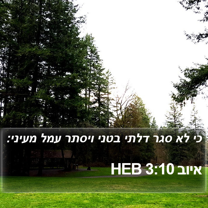 איוב 3:10 HEB Bible Study