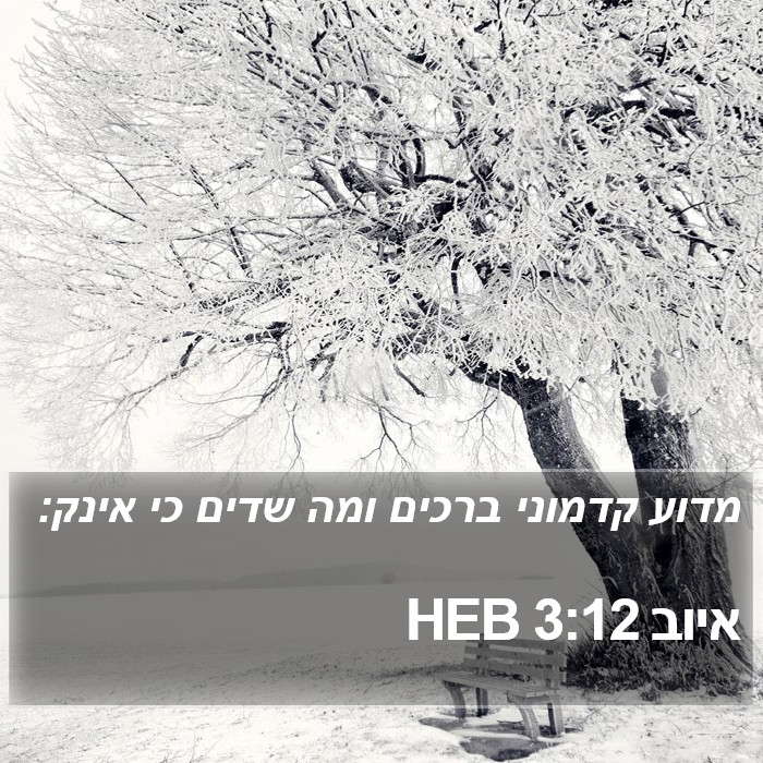 איוב 3:12 HEB Bible Study