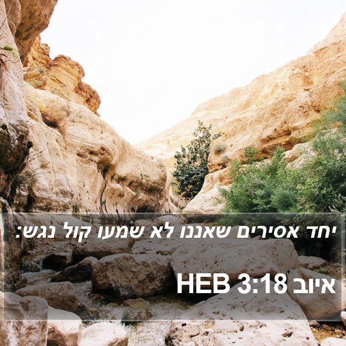 איוב 3:18 HEB Bible Study