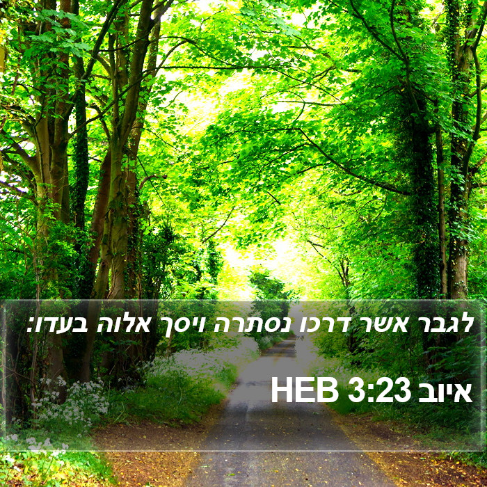 איוב 3:23 HEB Bible Study