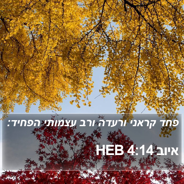 איוב 4:14 HEB Bible Study