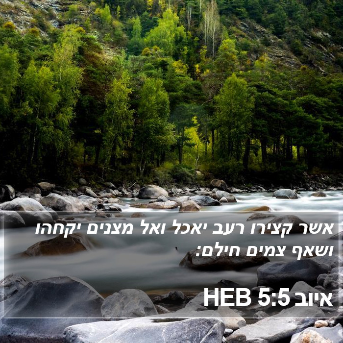 איוב 5:5 HEB Bible Study