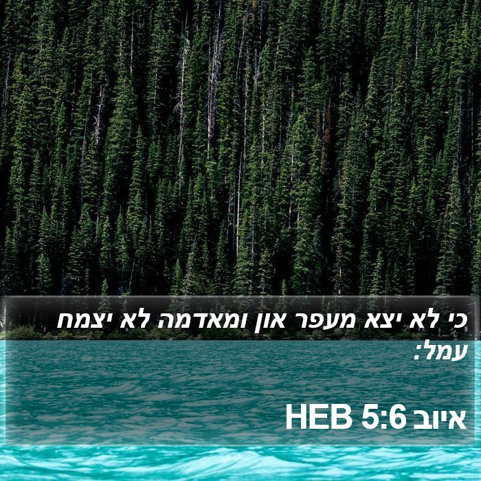 איוב 5:6 HEB Bible Study