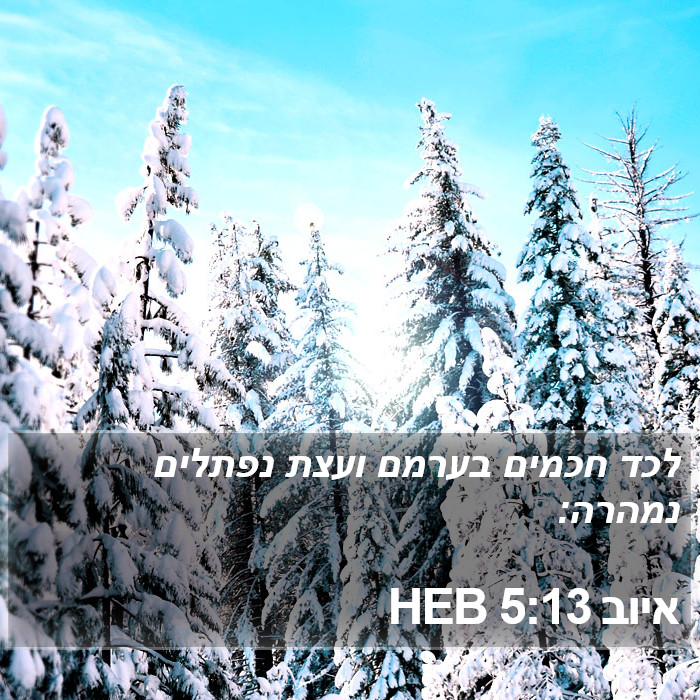 איוב 5:13 HEB Bible Study