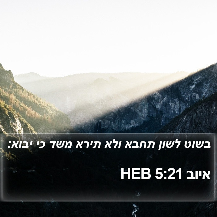 איוב 5:21 HEB Bible Study