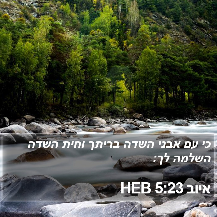 איוב 5:23 HEB Bible Study