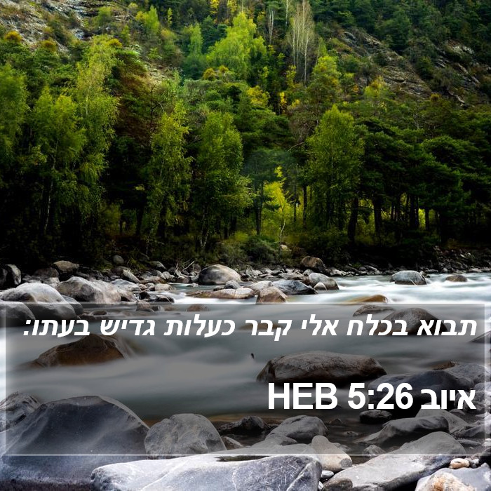 איוב 5:26 HEB Bible Study