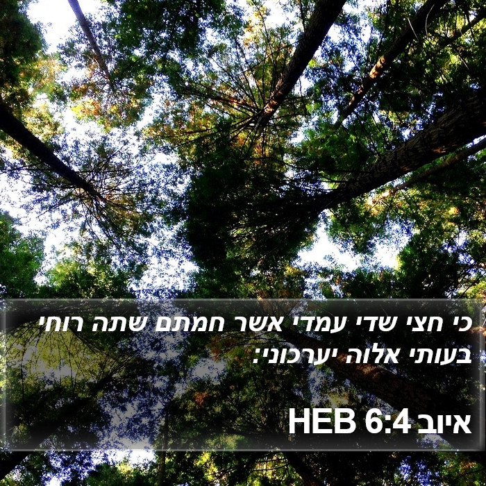 איוב 6:4 HEB Bible Study