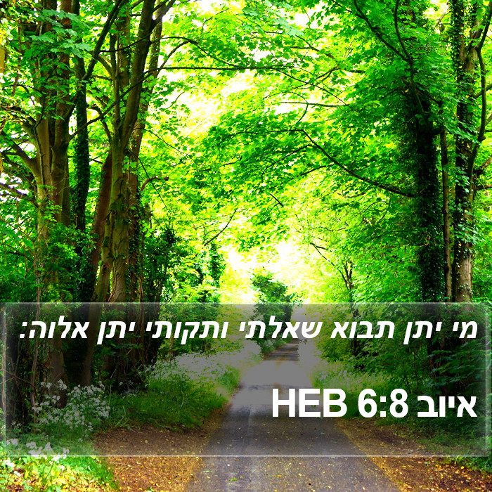 איוב 6:8 HEB Bible Study