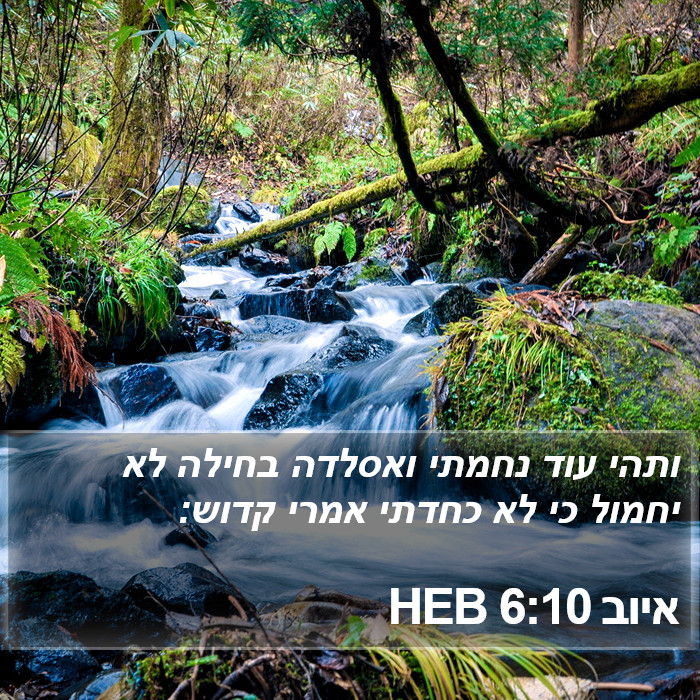 איוב 6:10 HEB Bible Study