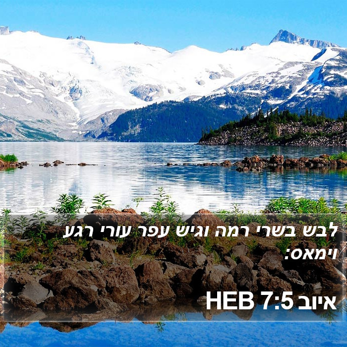 איוב 7:5 HEB Bible Study