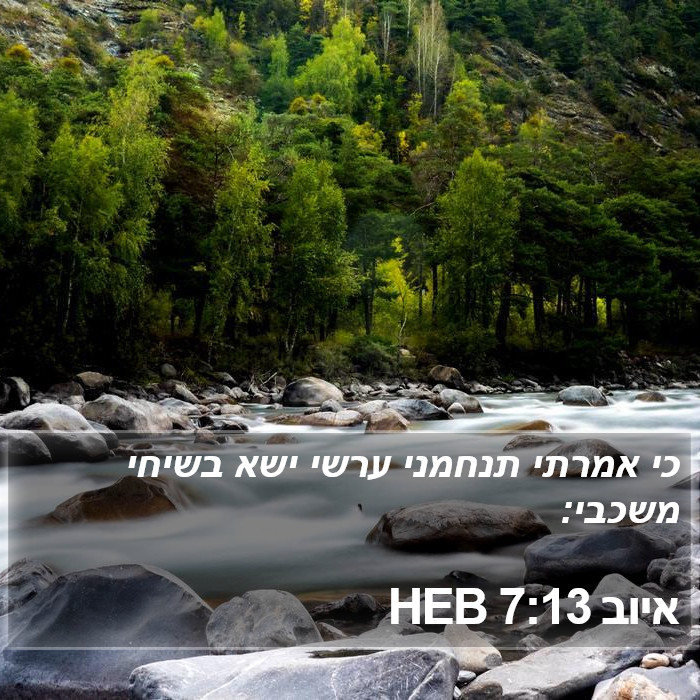 איוב 7:13 HEB Bible Study