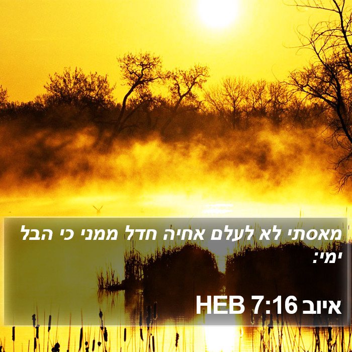 איוב 7:16 HEB Bible Study