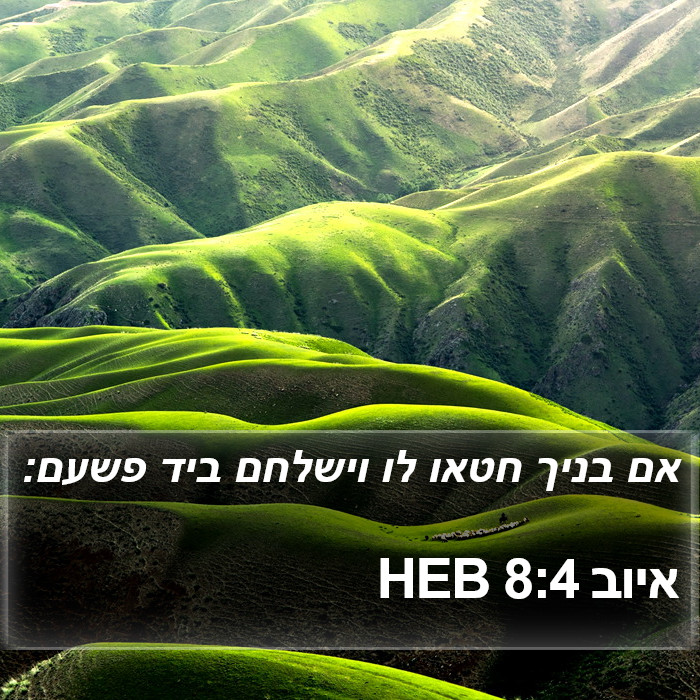 איוב 8:4 HEB Bible Study