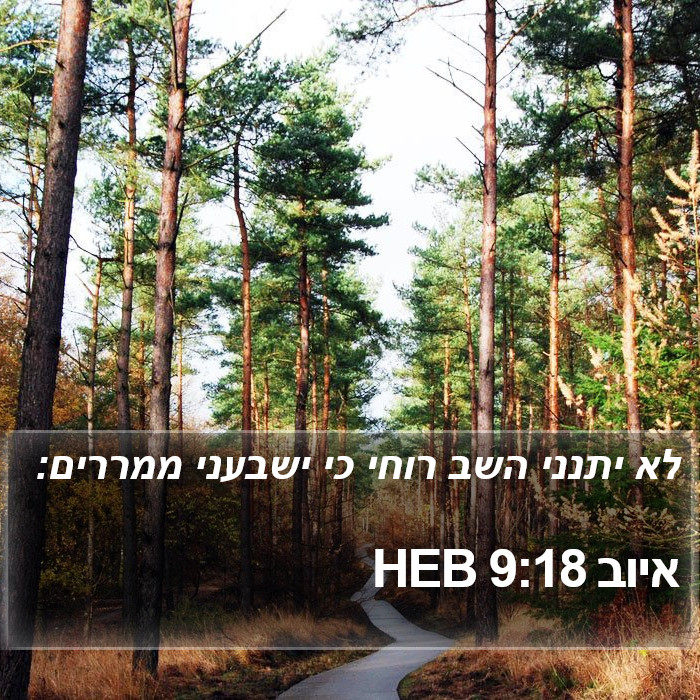 איוב 9:18 HEB Bible Study