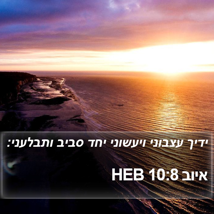 איוב 10:8 HEB Bible Study