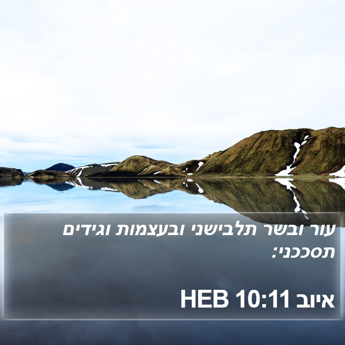 איוב 10:11 HEB Bible Study