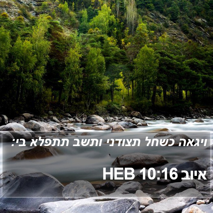 איוב 10:16 HEB Bible Study