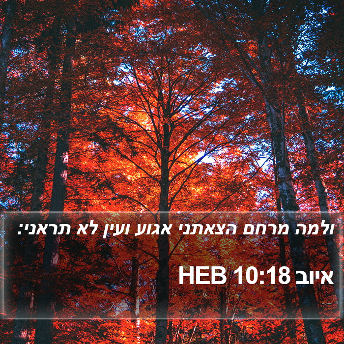 איוב 10:18 HEB Bible Study