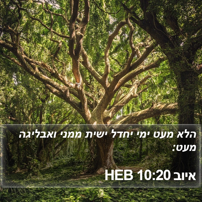 איוב 10:20 HEB Bible Study