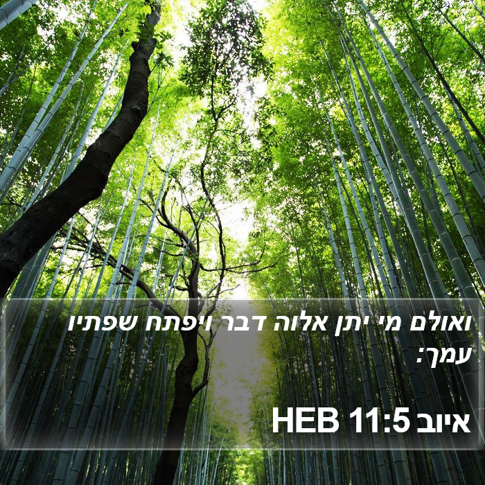 איוב 11:5 HEB Bible Study