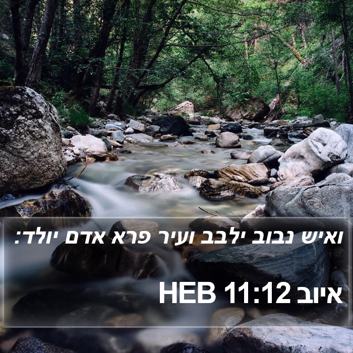 איוב 11:12 HEB Bible Study