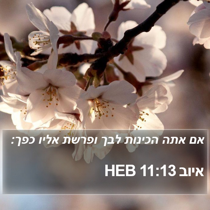 איוב 11:13 HEB Bible Study