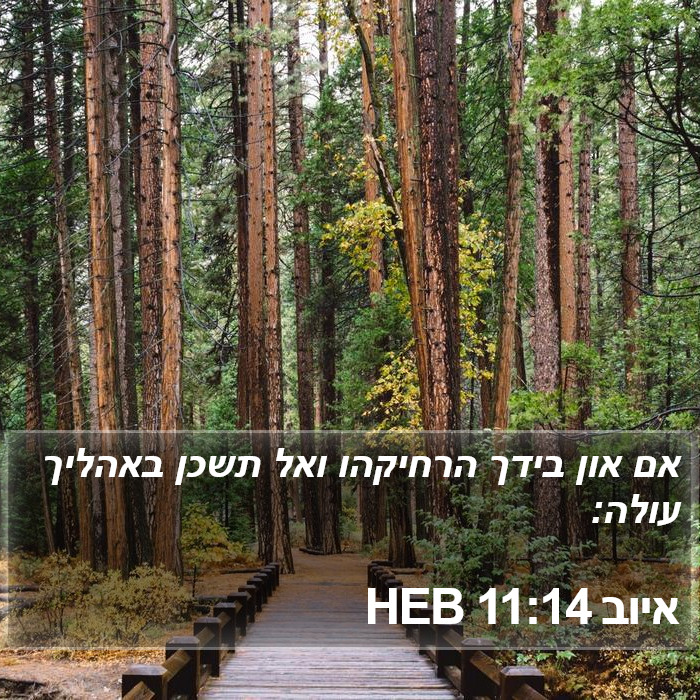 איוב 11:14 HEB Bible Study