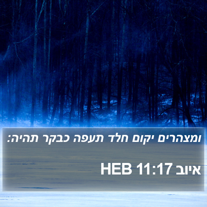 איוב 11:17 HEB Bible Study