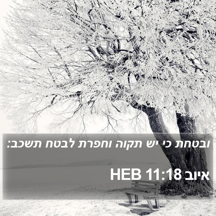 איוב 11:18 HEB Bible Study