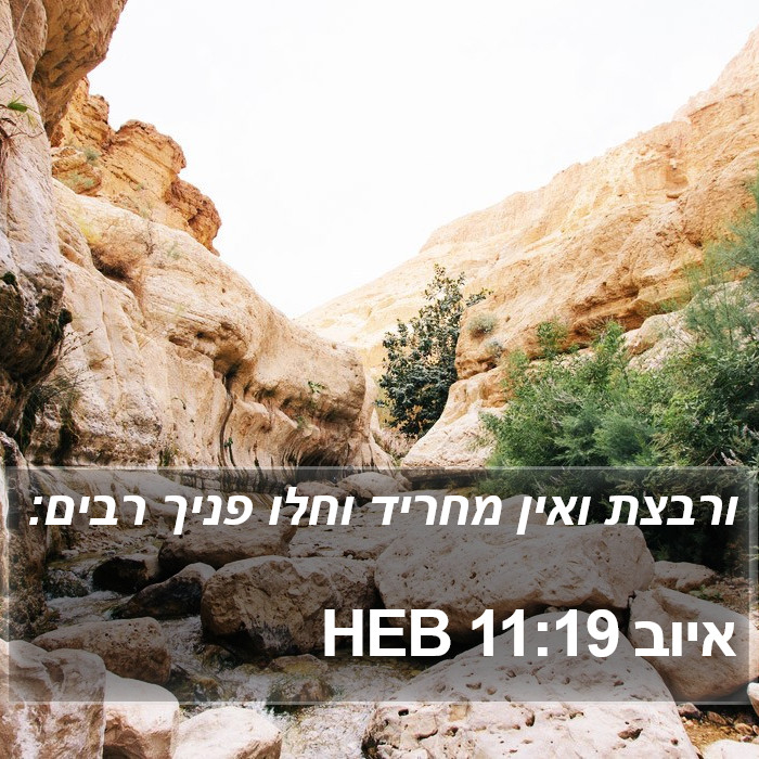 איוב 11:19 HEB Bible Study