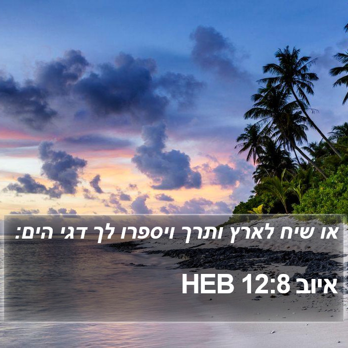 איוב 12:8 HEB Bible Study