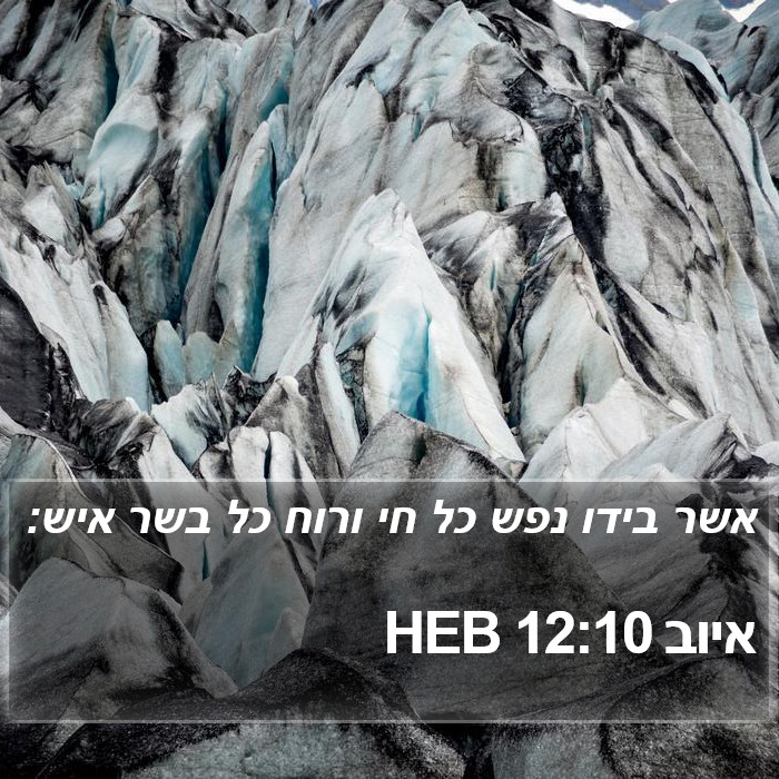 איוב 12:10 HEB Bible Study