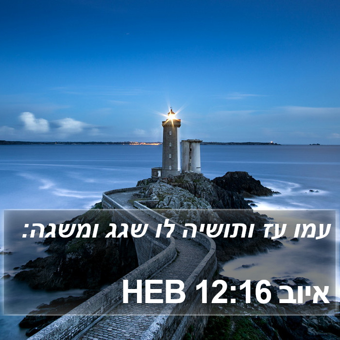 איוב 12:16 HEB Bible Study