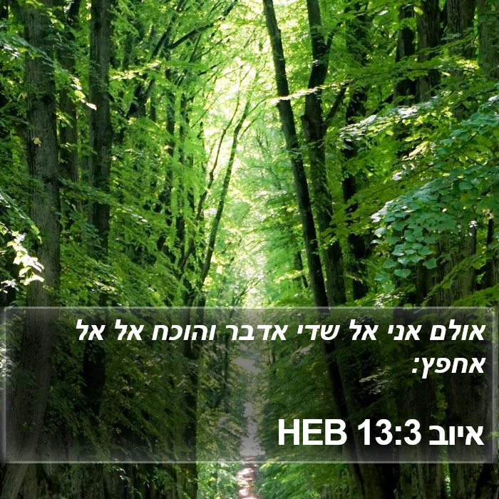 איוב 13:3 HEB Bible Study