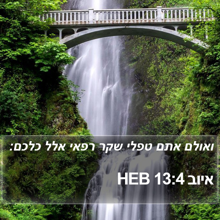 איוב 13:4 HEB Bible Study