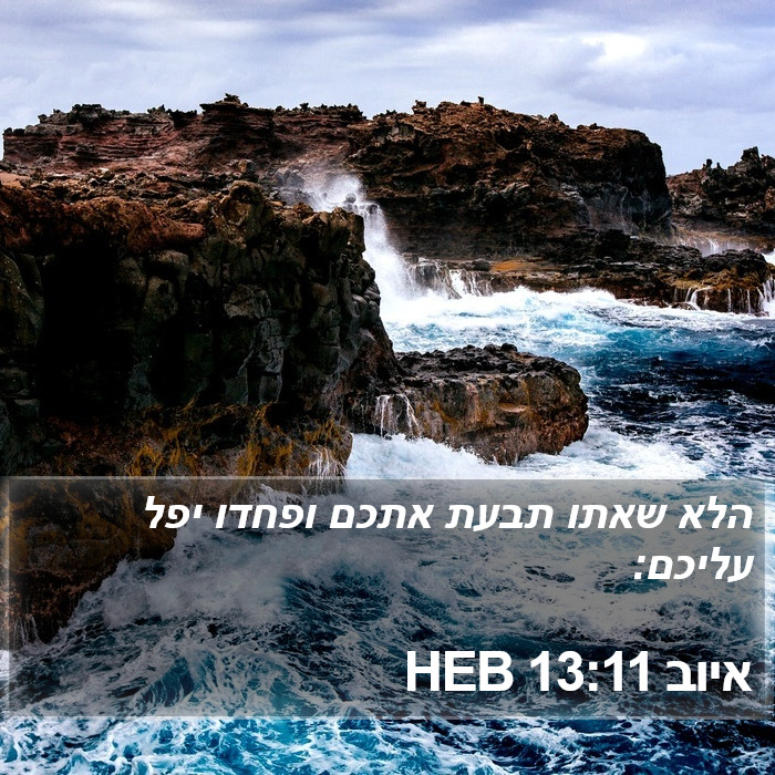 איוב 13:11 HEB Bible Study