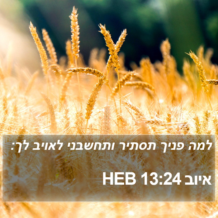 איוב 13:24 HEB Bible Study