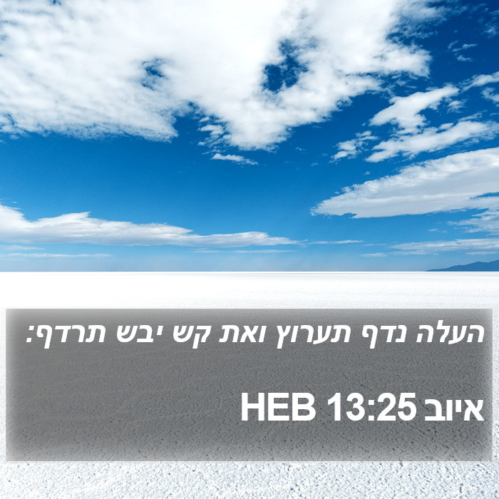 איוב 13:25 HEB Bible Study