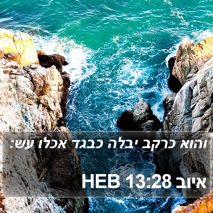 איוב 13:28 HEB Bible Study