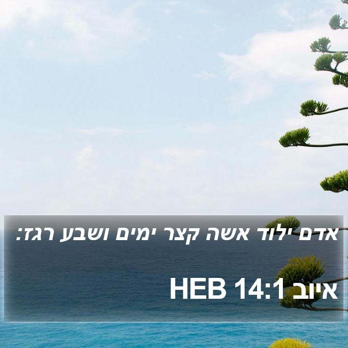 איוב 14:1 HEB Bible Study