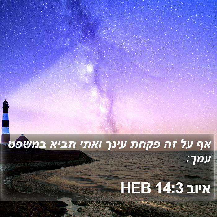 איוב 14:3 HEB Bible Study